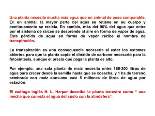 Una planta necesita mucha más agua que un animal de peso comparable. En un animal, la mayor parte del agua se retiene en su cuerpo y continuamente se recicla. En cambio, más del 90% del agua que entra por el sistema de raíces se desprende al aire en forma de vapor de agua. Esta pérdida de agua en forma de vapor recibe el nombre de  transpiración .   La transpiración es una consecuencia necesaria al estar los estomas abiertos para que la planta capte el dióxido de carbono necesario para la fotosíntesis, aunque el precio que paga la planta es alto.    Una planta necesita mucha más agua que un animal de peso comparable.  En un animal, la mayor parte del agua se retiene en su cuerpo y continuamente se recicla. En cambio, más del 90% del agua que entra por el sistema de raíces se desprende al aire en forma de vapor de agua. Esta pérdida de agua en forma de vapor recibe el nombre de  transpiración .  La transpiración es una consecuencia necesaria al estar los estomas abiertos para que la planta capte el dióxido de carbono necesario para la fotosíntesis, aunque el precio que paga la planta es alto.   Por ejemplo, una sola planta de maíz necesita entre 160-200 litros de agua para crecer desde la semilla hasta que se cosecha, y 1 ha de terreno sembrada con maíz consume casi 5 millones de litros de agua por estación.  El ecólogo inglés H. L. Harper describe la planta terrestre como “ una mecha que conecta el agua del suelo con la atmósfera”.     Por ejemplo, una sola planta de maíz necesita entre 160-200 litros de agua para crecer desde la semilla hasta que se cosecha, y 1 ha de terreno sembrada con maíz consume casi 5 millones de litros de agua por estación. El ecólogo inglés  H. L. Harper  describe la planta terrestre como “ una mecha que conecta el agua del suelo con la atmósfera”. 
