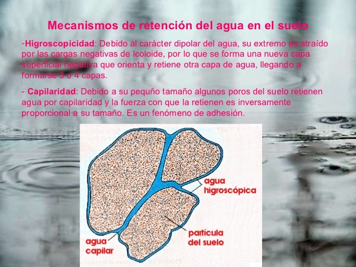 Agua en el suelo