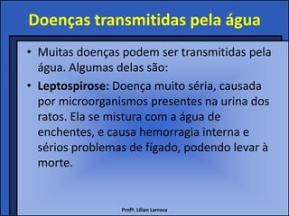 Doenças transmitidas pela água
• Muitas doenças podem ser transmitidas pela
  água. Algumas delas são:
• Leptospirose: Doença muito séria, causada
  por microorganismos presentes na urina dos
  ratos. Ela se mistura com a água de
  enchentes, e causa hemorragia interna e
  sérios problemas de fígado, podendo levar à
  morte.


                 Profª. Lilian Larroca
 