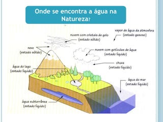 Onde se encontra a água na
Natureza?
 