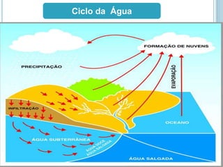 Ciclo da Água
 