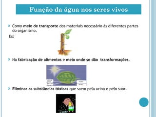  Como meio de transporte dos materiais necessário às diferentes partes
do organismo.
Ex:
 Na fabricação de alimentos e meio onde se dão transformações.
 Eliminar as substâncias tóxicas que saem pela urina e pelo suor.
Função da água nos seres vivos
 
