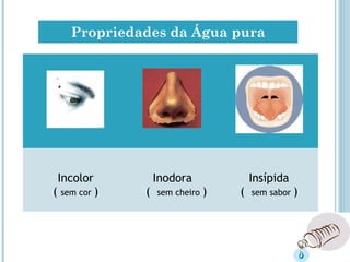 Incolor
( sem cor )
Inodora
( sem cheiro )
Insípida
( sem sabor )
Propriedades da Água pura
 