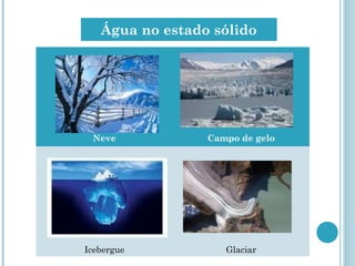 Neve Campo de gelo
Icebergue Glaciar
Água no estado sólido
 