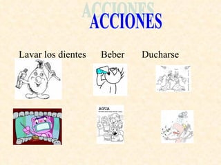 Lavar los dientes  Beber  Ducharse ACCIONES 