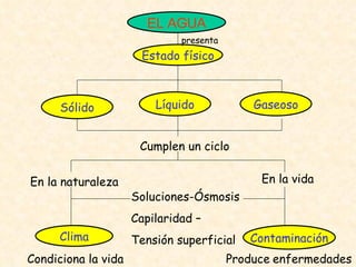 EL AGUA Estado físico presenta Sólido Gaseoso Líquido Cumplen un ciclo En la naturaleza En la vida Soluciones-Ósmosis Capilaridad – Tensión superficial Clima Contaminación Condiciona la vida Produce   enfermedades 