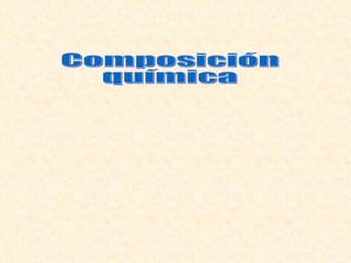 Composición química 