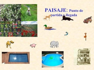 PAISAJE :  Punto de partida y llegada 