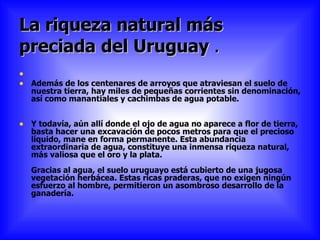 La riqueza natural más preciada del Uruguay  . Además de los centenares de arroyos que atraviesan el suelo de nuestra tierra, hay miles de pequeñas corrientes sin denominación, así como manantiales y cachimbas de agua potable. Y todavía, aún allí donde el ojo de agua no aparece a flor de tierra, basta hacer una excavación de pocos metros para que el precioso líquido, mane en forma permanente. Esta abundancia extraordinaria de agua, constituye una inmensa riqueza natural, más valiosa que el oro y la plata. Gracias al agua, el suelo uruguayo está cubierto de una jugosa vegetación herbácea. Estas ricas praderas, que no exigen ningún esfuerzo al hombre, permitieron un asombroso desarrollo de la ganadería.  