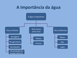 A Importância da água A água é importante Para o Homem Para a Natureza Para outros seres vivos Na higiene Na agricultura Na industria Na produção de energia eléctrica  Plantas Animais Mares  Rios  Lagos 