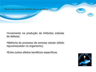 Alguns efeitos da água fluidificada no organismo
•Incremento na produção de linfócitos (células
de defesa);
•Melhoria do processo de osmose celular (efeito
rejuvenescedor no organismo);
•Entre outros efeitos benéficos específicos.
 