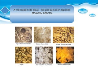 A mensagem da água – Do pesquisador Japonês
MASARU EMOTO
 