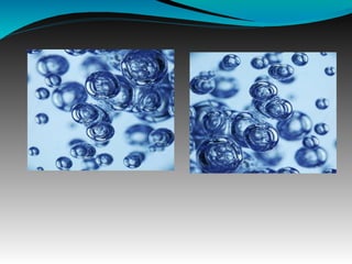 Agua gonzalo morales