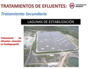 TRATAMIENTOS DE EFLUENTES:
Tratamiento Secundario
LAGUNAS DE ESTABILIZACIÓN
Tratamiento de
efluentes cloacales
en Gualeguaychú
 