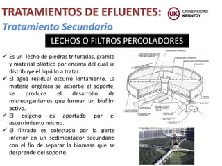 TRATAMIENTOS DE EFLUENTES:
Tratamiento Secundario
 Es un lecho de piedras trituradas, granito
y material plástico por encima del cual se
distribuye el líquido a tratar.
 El agua residual escurre lentamente. La
materia orgánica se adsorbe al soporte,
se produce el desarrollo de
microorganismos que forman un biofilm
activo.
 El oxígeno es aportado por el
escurrimiento mismo.
 El filtrado es colectado por la parte
inferior en un sedimentador secundario
con el fin de separar la biomasa que se
desprende del soporte.
LECHOS O FILTROS PERCOLADORES
 