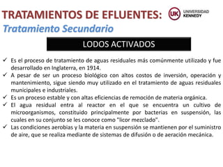Tratamiento Secundario
LODOS ACTIVADOS
TRATAMIENTOS DE EFLUENTES:
 Es el proceso de tratamiento de aguas residuales más comúnmente utilizado y fue
desarrollado en Inglaterra, en 1914.
 A pesar de ser un proceso biológico con altos costos de inversión, operación y
mantenimiento, sigue siendo muy utilizado en el tratamiento de aguas residuales
municipales e industriales.
 Es un proceso estable y con altas eficiencias de remoción de materia orgánica.
 El agua residual entra al reactor en el que se encuentra un cultivo de
microorganismos, constituido principalmente por bacterias en suspensión, las
cuales en su conjunto se les conoce como "licor mezclado".
 Las condiciones aerobias y la materia en suspensión se mantienen por el suministro
de aire, que se realiza mediante de sistemas de difusión o de aeración mecánica.
 