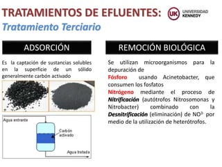 Tratamiento Terciario
TRATAMIENTOS DE EFLUENTES:
Es la captación de sustancias solubles
en la superficie de un sólido
generalmente carbón activado
ADSORCIÓN REMOCIÓN BIOLÓGICA
Se utilizan microorganismos para la
depuración de
Fósforo usando Acinetobacter, que
consumen los fosfatos
Nitrógeno mediante el proceso de
Nitrificación (autótrofos Nitrosomonas y
Nitrobacter) combinado con la
Desnitrificación (eliminación) de NO3- por
medio de la utilización de heterótrofos.
 