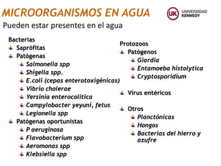 Bacterias
Saprófitas
Patógenas
Salmonella spp
Shigella spp.
E.coli (cepas enterotoxigénicas)
Vibrio cholerae
Yersinia enterocolitica
Campylobacter yeyuni, fetus
Legionella spp
Patógenas oportunistas
P aeruginosa
Flavobacterium spp
Aeromonas spp
Klebsiella spp
Protozoos
Patógenos
Giardia
Entamoeba histolytica
Cryptosporidium
Virus entéricos
Otros
Planctónicas
Hongos
Bacterias del hierro y
azufre
Pueden estar presentes en el agua
MICROORGANISMOS EN AGUA
 