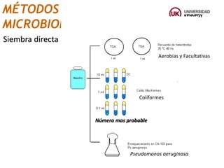 Siembra directa
MÉTODOS
MICROBIOLÓGICOS
Coliformes
Pseudomonas aeruginosa
Aerobias y Facultativas
Número mas probable
 