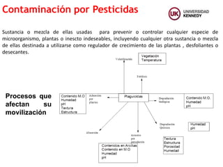 Sustancia o mezcla de ellas usadas para prevenir o controlar cualquier especie de
microorganismo, plantas o inescto indeseables, incluyendo cualquier otra sustancia o mezcla
de ellas destinada a utilizarse como regulador de crecimiento de las plantas , desfoliantes o
desecantes.
Contaminación por Pesticidas
Procesos que
afectan su
movilización
 