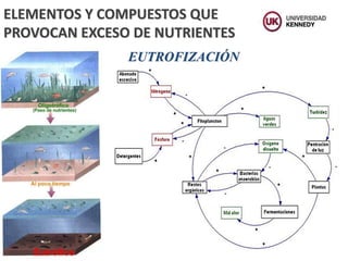 ELEMENTOS Y COMPUESTOS QUE
PROVOCAN EXCESO DE NUTRIENTES
EUTROFIZACIÓN
 