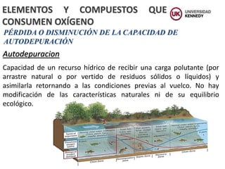 ELEMENTOS Y COMPUESTOS QUE
CONSUMEN OXÍGENO
PÉRDIDA O DISMINUCIÓN DE LA CAPACIDAD DE
AUTODEPURACIÓN
Autodepuracion
Capacidad de un recurso hídrico de recibir una carga polutante (por
arrastre natural o por vertido de residuos sólidos o líquidos) y
asimilarla retornando a las condiciones previas al vuelco. No hay
modificación de las características naturales ni de su equilibrio
ecológico.
 