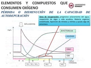 PÉRDIDA O DISMINUCIÓN DE LA CAPACIDAD DE
AUTODEPURACIÓN Zona de recuperación: progresivo aclaramiento del agua,
reaparición de algas y vida acuática. Materia orgánica
estabilizada. Aparición de nitratos y nitritos y quizás algo de
amoníaco.
ELEMENTOS Y COMPUESTOS QUE
CONSUMEN OXÍGENO
 