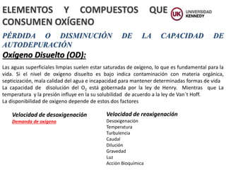 PÉRDIDA O DISMINUCIÓN DE LA CAPACIDAD DE
AUTODEPURACIÓN
ELEMENTOS Y COMPUESTOS QUE
CONSUMEN OXÍGENO
Oxígeno Disuelto (OD):
Las aguas superficiales limpias suelen estar saturadas de oxígeno, lo que es fundamental para la
vida. Si el nivel de oxígeno disuelto es bajo indica contaminación con materia orgánica,
septicización, mala calidad del agua e incapacidad para mantener determinadas formas de vida
La capacidad de disolución del O2 está gobernada por la ley de Henry. Mientras que La
temperatura y la presión influye en la su solubilidad de acuerdo a la ley de Van´t Hoff.
La disponibilidad de oxigeno depende de estos dos factores
Velocidad de desoxigenación
Demanda de oxígeno
Velocidad de reoxigenación
Desoxigenación
Temperatura
Turbulencia
Caudal
Dilución
Gravedad
Luz
Acción Bioquímica
 
