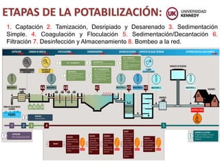 ETAPAS DE LA POTABILIZACIÓN:
1. Captación 2. Tamización, Desripiado y Desarenado 3. Sedimentación
Simple. 4. Coagulación y Floculación 5. Sedimentación/Decantación 6.
Filtración 7. Desinfección y Almacenamiento 8. Bombeo a la red.
 