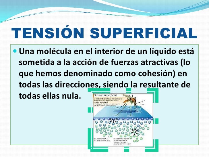 El alcohólico pega a la madre