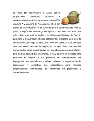 La fruta del Aguaymanto o Capuli posee
propiedades diuréticas, sedativas y
antirreumáticas, es extremadamente rica en Pro
vitamina A y Vitamina C. No obstante, el 40 por
ciento de la producción no es aprovechada o comercializada. Por su
parte, la región de Huamanga en Ayacucho es muy favorable para
este cultivo y se produce en las comunidades de Santiago de Pischa,
Laramate y Ccayarpachi. Dichas poblaciones, presentan una tasa de
desnutrición que llega a 45%, alto nivel de pobreza y la principal
actividad económica de la región es la agricultura; aunque las
comunidades están familiarizadas con la elaboración de mermeladas,
pero de baja calidad. En este marco, la FAO aprobó un proyecto para
promover la mejora de los procesos de transformación del
Aguaymanto en mermeladas y salsas; fortalecer la organización de
productores y consolidar sus capacidades para hacerlos
autosuficientes; aumentando los volúmenes de producción y
comercialización.
 