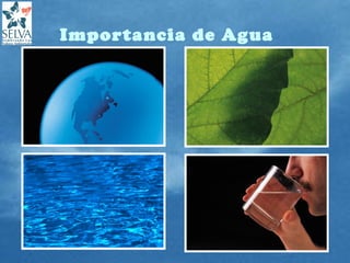 Importancia de Agua
 