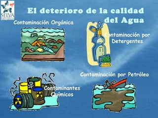 El deterioro de la calidad
del AguaContaminación Orgánica
Contaminantes
Químicos
Contaminación por Petróleo
Contaminación por
Detergentes
 