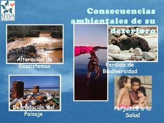 Consecuencias
ambientales de su
deterioro
Perdida de
Biodiversidad
Alteración de
Ecosistemas
Degradación del
Paisaje
Perjudica a la
Salud
 