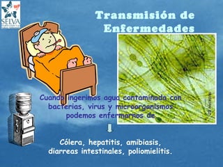 Transmisión de
Enfermedades
Cólera, hepatitis, amibiasis,
diarreas intestinales, poliomielitis.
Cuando ingerimos agua contaminada con
bacterias, virus y microorganismos
podemos enfermarnos de
 