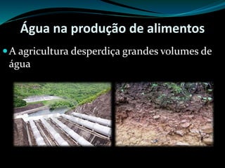 Água na produção de alimentos
A agricultura desperdiça grandes volumes de
água
 