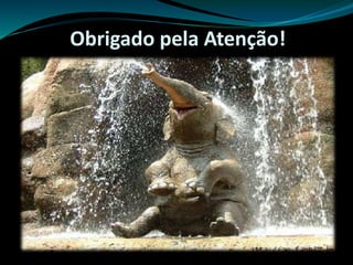 Obrigado pela Atenção!
 