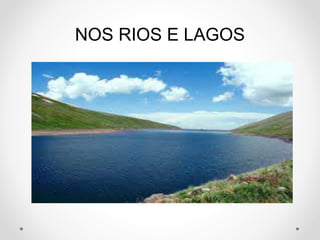 NOS RIOS E LAGOS 
 
