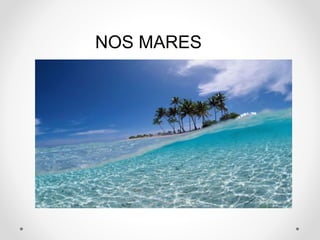 NOS MARES 
 