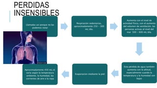PERDIDAS
INSENSIBLES
Llamadas asi porque no las
podemos notar
Respiración sedentarias,
aproximadamente 250 - 300
mL/día.
Aumenta con el nivel de
actividad física, con el aumento
del volumen de ventilación. las
personas activas al nivel del
mar 500 - 600 mL/día.
Esta pérdida de agua también
aumenta con la altitud,
especialmente cuando la
temperatura y la humedad son
bajas
Evaporacion mediante la piel
Aproximadamente 450 mL/d.
varía según la temperatura
ambiente, la humedad, las
corrientes de aire o la ropa
 