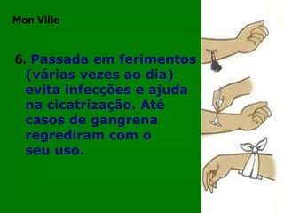Mon Ville2.Manter escovas de dentes numa solução de água oxigenada conserva as escovas livres de germes que causam gengivite e outros problemas bucais. 