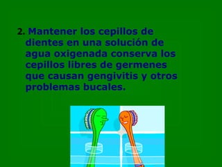 2.   Mantener los cepillos de dientes en una solución de agua oxigenada conserva los cepillos libres de germenes que causan gengivitis y otros problemas bucales. 