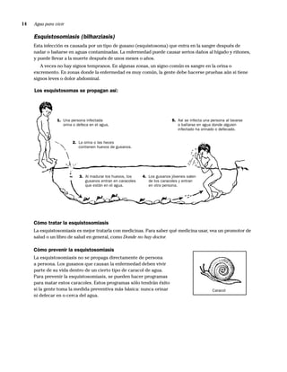 14   Agua para vivir

     Esquistosomiasis (bilharziasis)
     Esta infección es causada por un tipo de gusano (esquistosoma) que entra en la sangre después de
     nadar o bañarse en aguas contaminadas. La enfermedad puede causar serios daños al hígado y riñones,
     y puede llevar a la muerte después de unos meses o años.
        A veces no hay signos tempranos. En algunas zonas, un signo común es sangre en la orina o
     excremento. En zonas donde la enfermedad es muy común, la gente debe hacerse pruebas aún si tiene
     signos leves o dolor abdominal.

     Los esquistosomas se propagan así:




                1. Una persona infectada                                    5. Así se infecta una persona al lavarse
                   orina o defeca en el agua.                                  o bañarse en agua donde alguien
                                                                               infectado ha orinado o defecado.


                        2. La orina o las heces
                           contienen huevos de gusanos.




                            3. Al madurar los huevos, los    4. Los gusanos jóvenes salen
                               gusanos entran en caracoles      de los caracoles y entran
                               que están en el agua.            en otra persona.




     Cómo tratar la esquistosomiasis
     La esquistosomiasis es mejor tratarla con medicinas. Para saber qué medicina usar, vea un promotor de
     salud o un libro de salud en general, como Donde no hay doctor.

     Cómo prevenir la esquistosomiasis
     La esquistosomiasis no se propaga directamente de persona
     a persona. Los gusanos que causan la enfermedad deben vivir
     parte de su vida dentro de un cierto tipo de caracol de agua.
     Para prevenir la esquistosomiasis, se pueden hacer programas
     para matar estos caracoles. Estos programas sólo tendrán éxito
     si la gente toma la medida preventiva más básica: nunca orinar                               Caracol
     ni defecar en o cerca del agua.
 