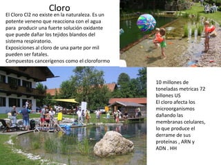 Cloro 10 millones de toneladas metricas 72 billones US El cloro afecta los microorganismos dañando las membranas celulares, lo que produce el derrame de sus proteínas , ARN y ADN . HH El Cloro Cl2 no existe en la naturaleza. Es un potente veneno que reacciona con el agua para  producir una fuerte solución oxidante que puede dañar los tejidos blandos del sistema respiratorio. Exposiciones al cloro de una parte por mil pueden ser fatales. Compuestos cancerígenos como el cloroformo 