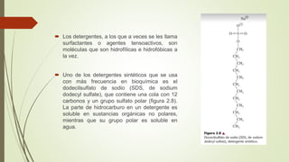  Los detergentes, a los que a veces se les llama
surfactantes o agentes tensoactivos, son
moléculas que son hidrofílicas e hidrofóbicas a
la vez.
 Uno de los detergentes sintéticos que se usa
con más frecuencia en bioquímica es el
dodecilsulfato de sodio (SDS, de sodium
dodecyl sulfate), que contiene una cola con 12
carbonos y un grupo sulfato polar (figura 2.8).
La parte de hidrocarburo en un detergente es
soluble en sustancias orgánicas no polares,
mientras que su grupo polar es soluble en
agua.
 