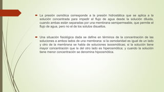  La presión osmótica corresponde a la presión hidrostática que se aplica a la
solución concentrada para impedir el flujo de agua desde la solución diluida,
cuando ambas están separadas por una membrana semipermeable, que permite el
flujo de agua, pero no el de los solutos disueltos.
 Una situación fisiológica dada se define en términos de la concentración de las
soluciones a ambos lados de una membrana: si la osmolaridad es igual de un lado
y otro de la membrana se habla de soluciones isoosmóticas; si la solución tiene
mayor concentración que la del otro lado es hiperosmótica; y cuando la solución
tiene menor concentración se denomina hipoosmótica.
 