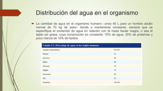 Distribución del agua en el organismo
 La cantidad de agua en el organismo humano –unos 40 L para un hombre adulto
normal de 70 kg de peso– tiende a mantenerse constante, siempre que se
especifique el contenido de agua en relación con la masa tisular magra, o sea el
tejido sin grasa, cuya composición es constante: 70% de agua, 20% de proteínas y
poco menos de 10% de lípidos.
 