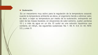  Sudoración.
Es un mecanismo muy activo para la regulación de la temperatura corporal;
cuando la temperatura ambiente se eleva, el organismo tiende a eliminar calor,
es decir, a bajar su temperatura por medio de la sudoración, extrayendo así
calor de las masas tisulares; en situaciones de calor extremo, suelen perderse
10 L o más de agua en un día. El sudor es una solución hipotónica que
contiene, en mEq/L, las siguientes sustancias: Na +: 48; K: 5.9; Cl: 40; NH4:
3.5, y urea: 9.
 