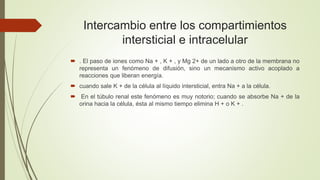 Intercambio entre los compartimientos
intersticial e intracelular
 . El paso de iones como Na + , K + , y Mg 2+ de un lado a otro de la membrana no
representa un fenómeno de difusión, sino un mecanismo activo acoplado a
reacciones que liberan energía.
 cuando sale K + de la célula al líquido intersticial, entra Na + a la célula.
 En el túbulo renal este fenómeno es muy notorio; cuando se absorbe Na + de la
orina hacia la célula, ésta al mismo tiempo elimina H + o K + .
 