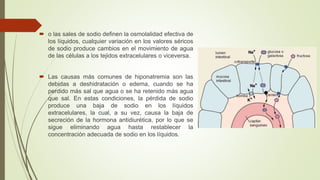  o las sales de sodio definen la osmolalidad efectiva de
los líquidos, cualquier variación en los valores séricos
de sodio produce cambios en el movimiento de agua
de las células a los tejidos extracelulares o viceversa.
 Las causas más comunes de hiponatremia son las
debidas a deshidratación o edema, cuando se ha
perdido más sal que agua o se ha retenido más agua
que sal. En estas condiciones, la pérdida de sodio
produce una baja de sodio en los líquidos
extracelulares, la cual, a su vez, causa la baja de
secreción de la hormona antidiurética, por lo que se
sigue eliminando agua hasta restablecer la
concentración adecuada de sodio en los líquidos.
 